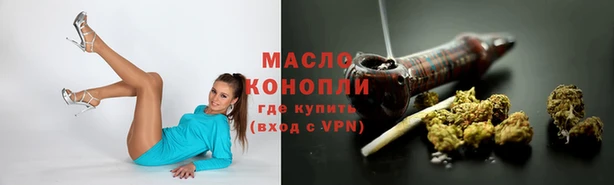 твердый Богородск