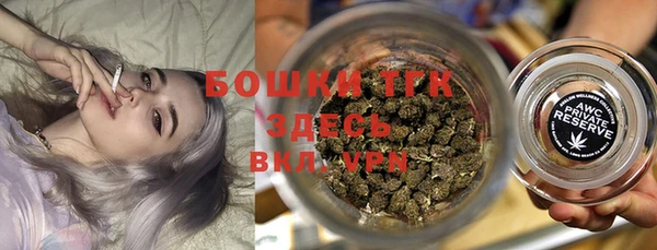 твердый Богородск
